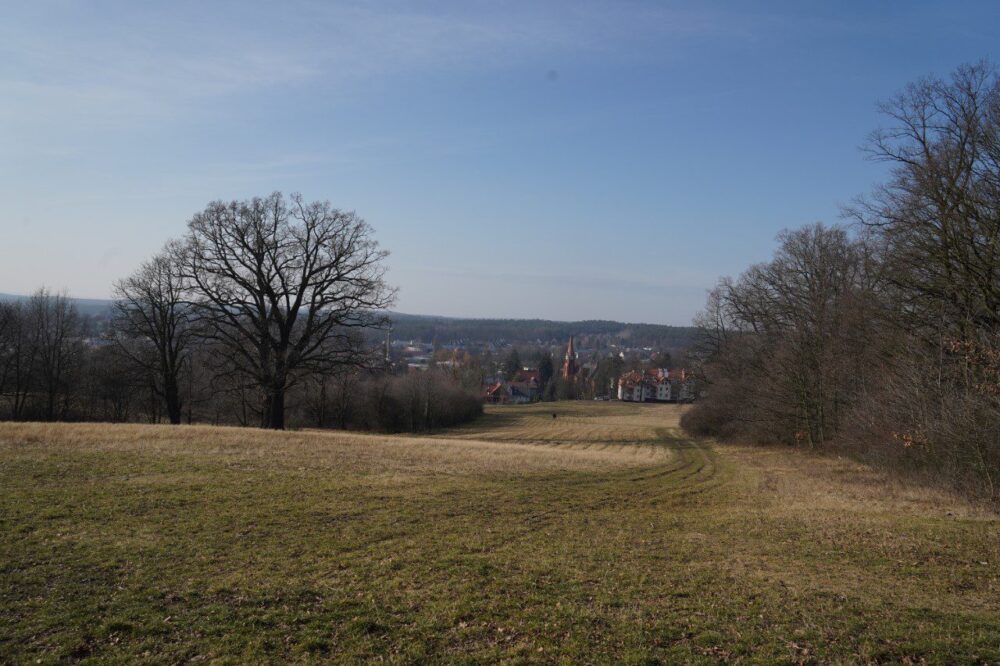 Immobilien für ein Altersheim