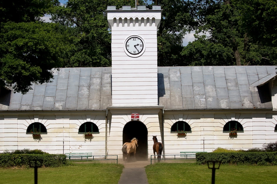 Arabergestüte in Polen