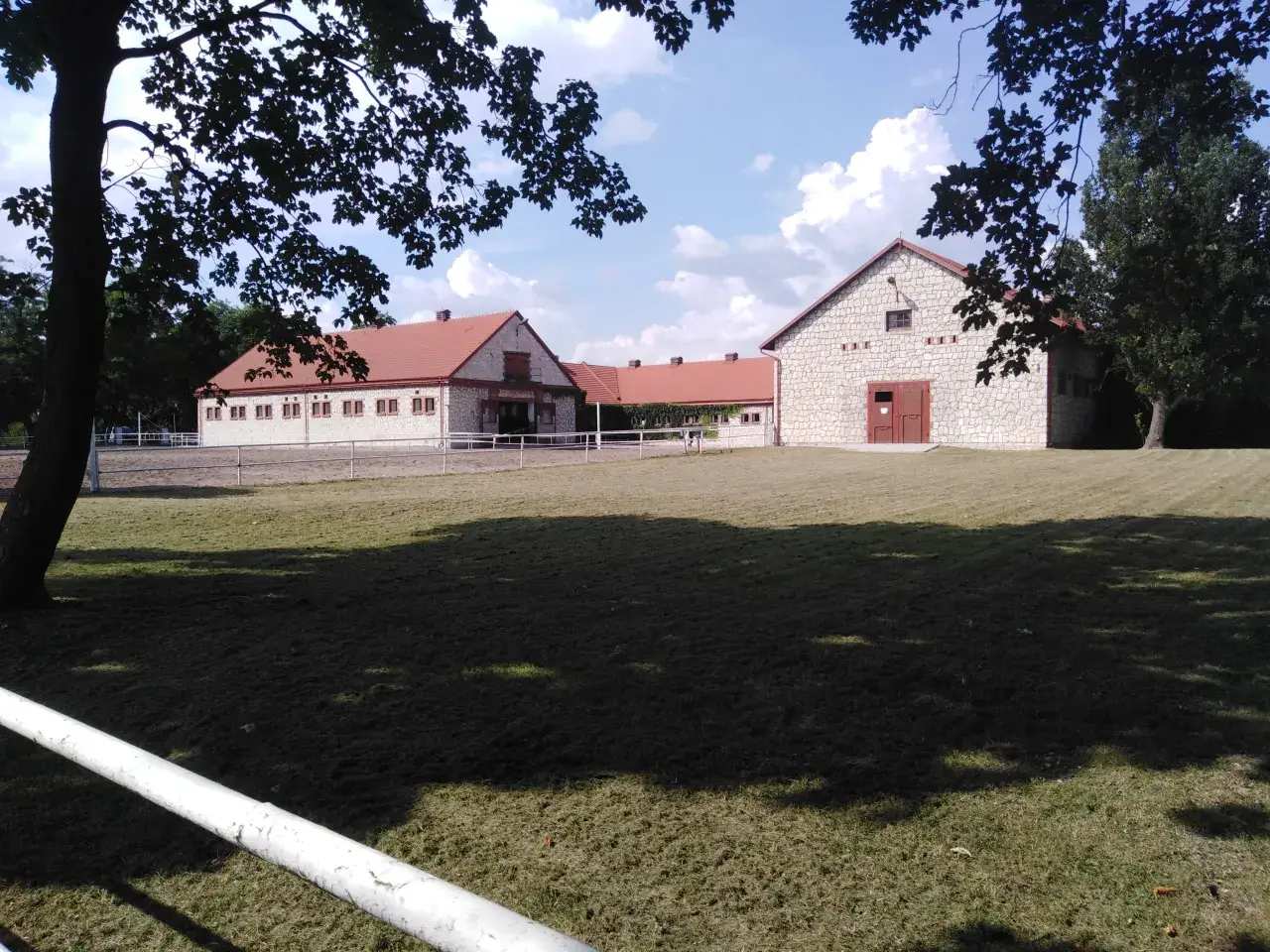 Arabische Pferde in Polen