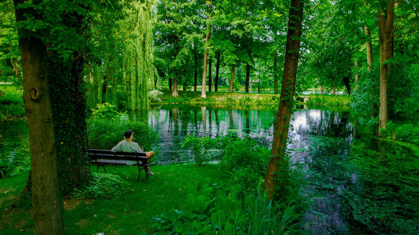 Hotel Manor House Park