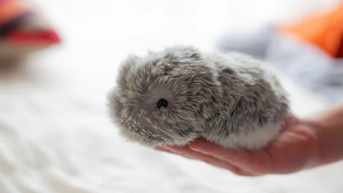 Ist Moflin ein Roboter