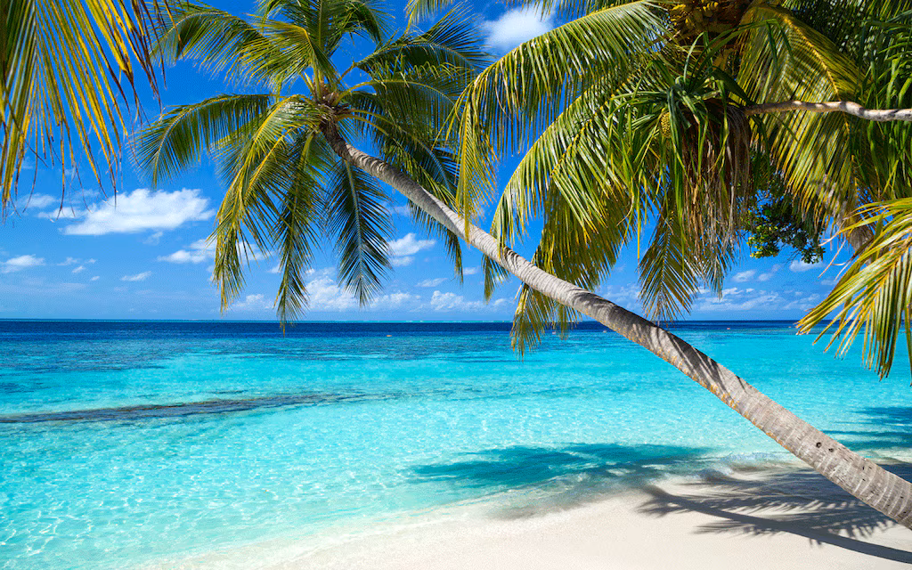 Urlaub in der Karibik