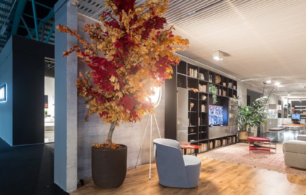 Wie man Pflanzen stabilisiert Blog