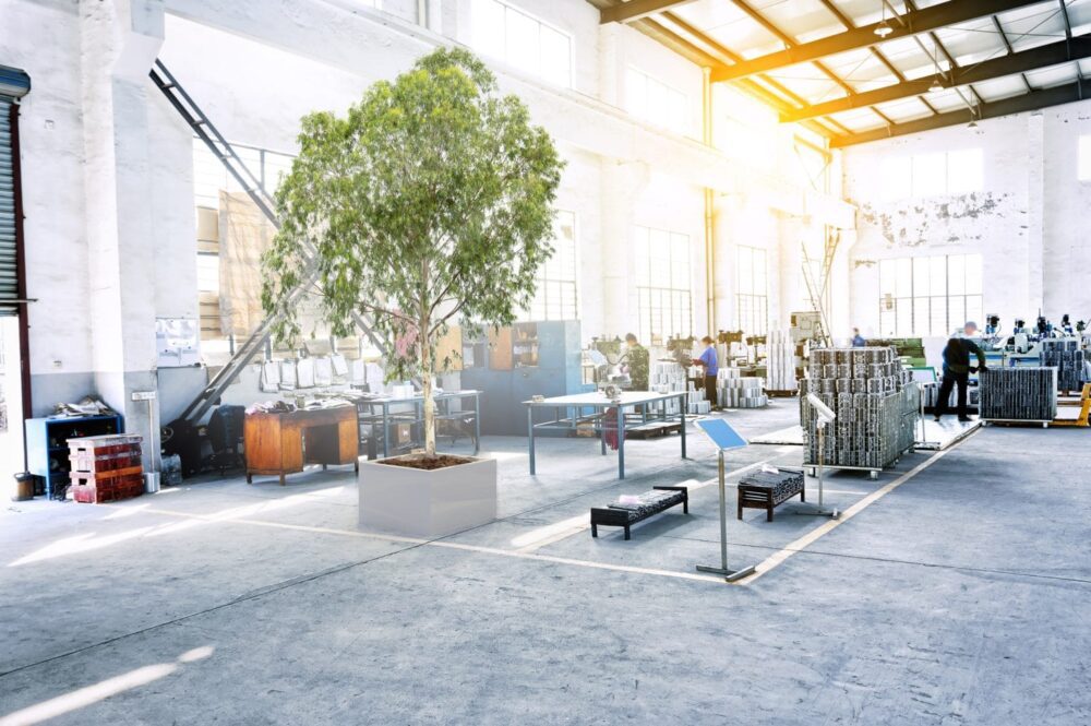 Wie man Pflanzen stabilisiert