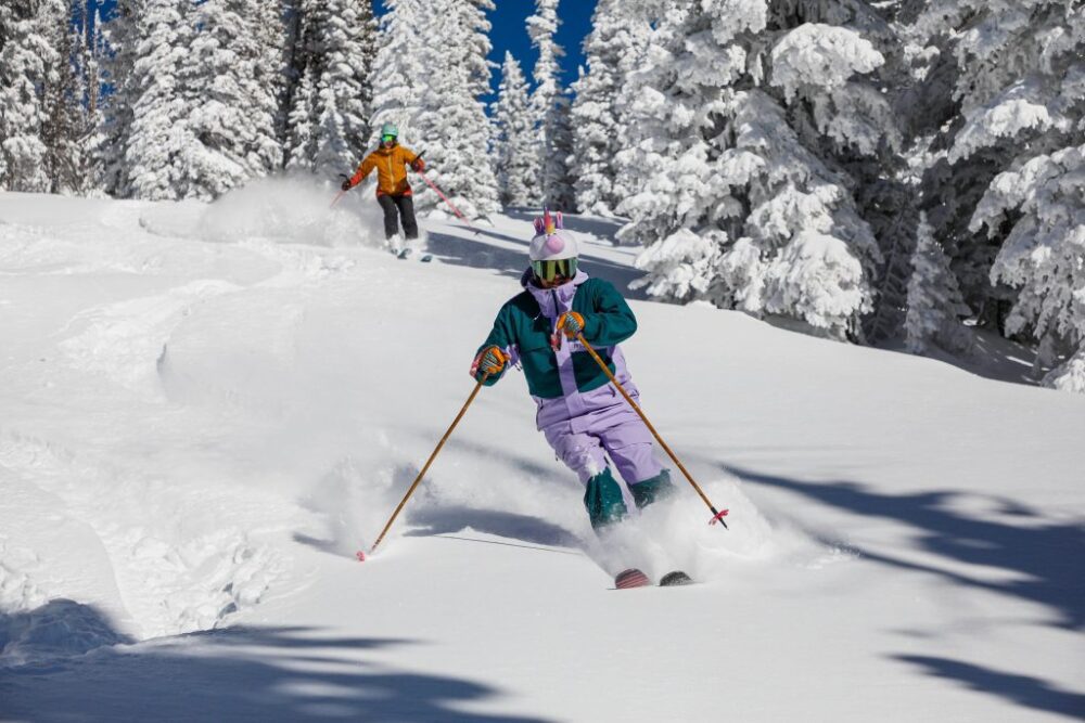Wie viel kosten Premium-Ski