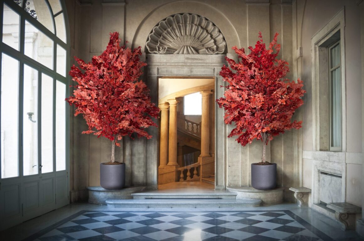 Worin besteht die Stabilisierung von Pflanzen