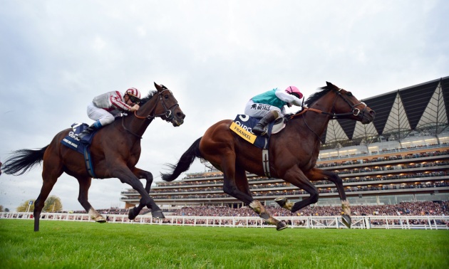 Frankel siegt vor Cirrus Des Aigles 20 10 12 Foto Bill Selwyn