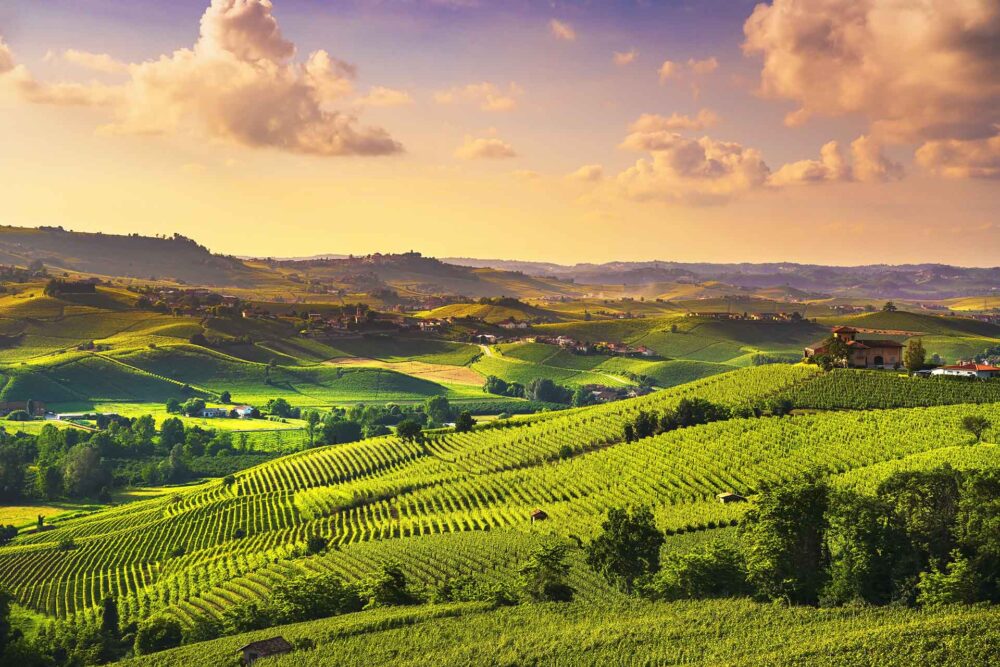 Langhe Weinberge Sonnenuntergang Panorama, Barolo, Piemont, Italien Europa